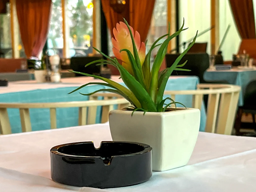 Bistro La Vue. Tašmajdan Žurke, kafić na Tašmajdanu, nezaboravni doživljaj na Tašmajdanu